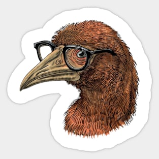 Nerd Bird Sticker